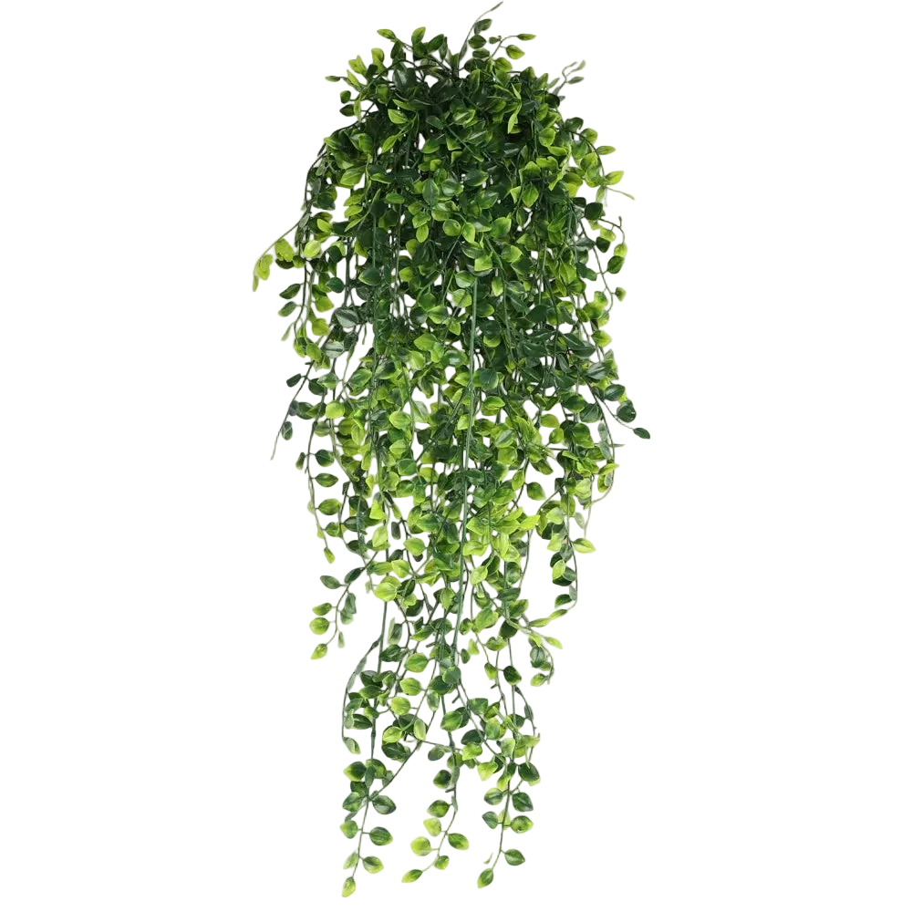 Hanging Vines