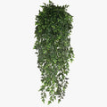 Hanging Vines