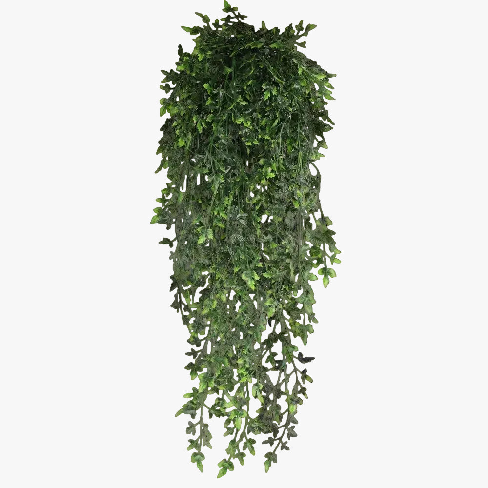 Hanging Vines