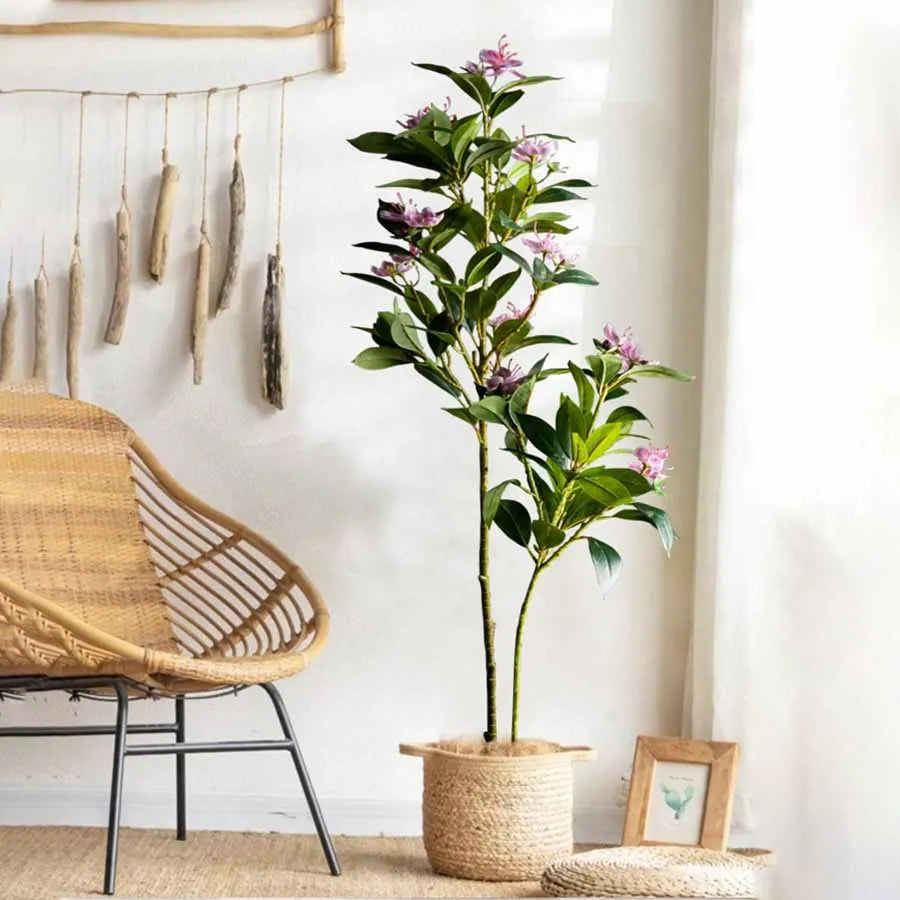 Magnolia Plant Set