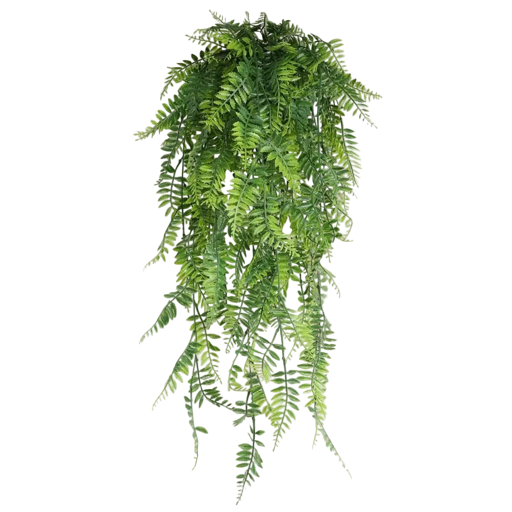 Hanging Vines