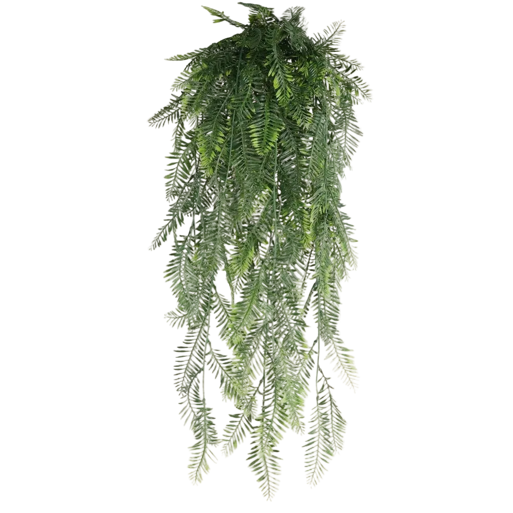 Hanging Vines