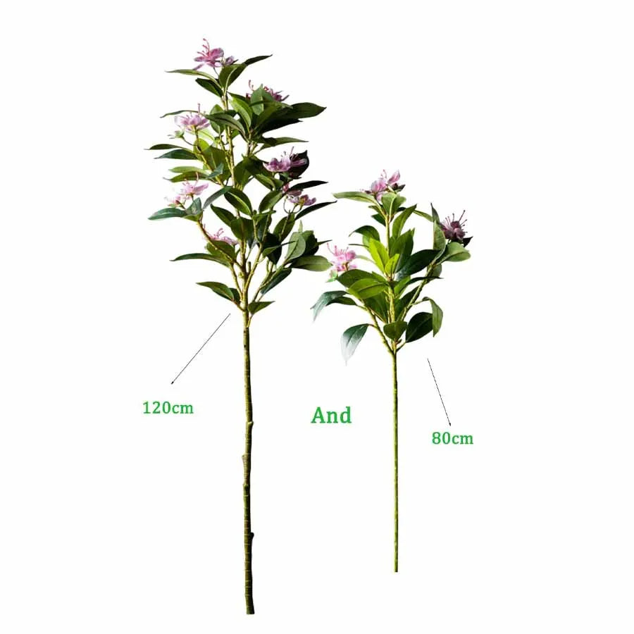 Magnolia Plant Set