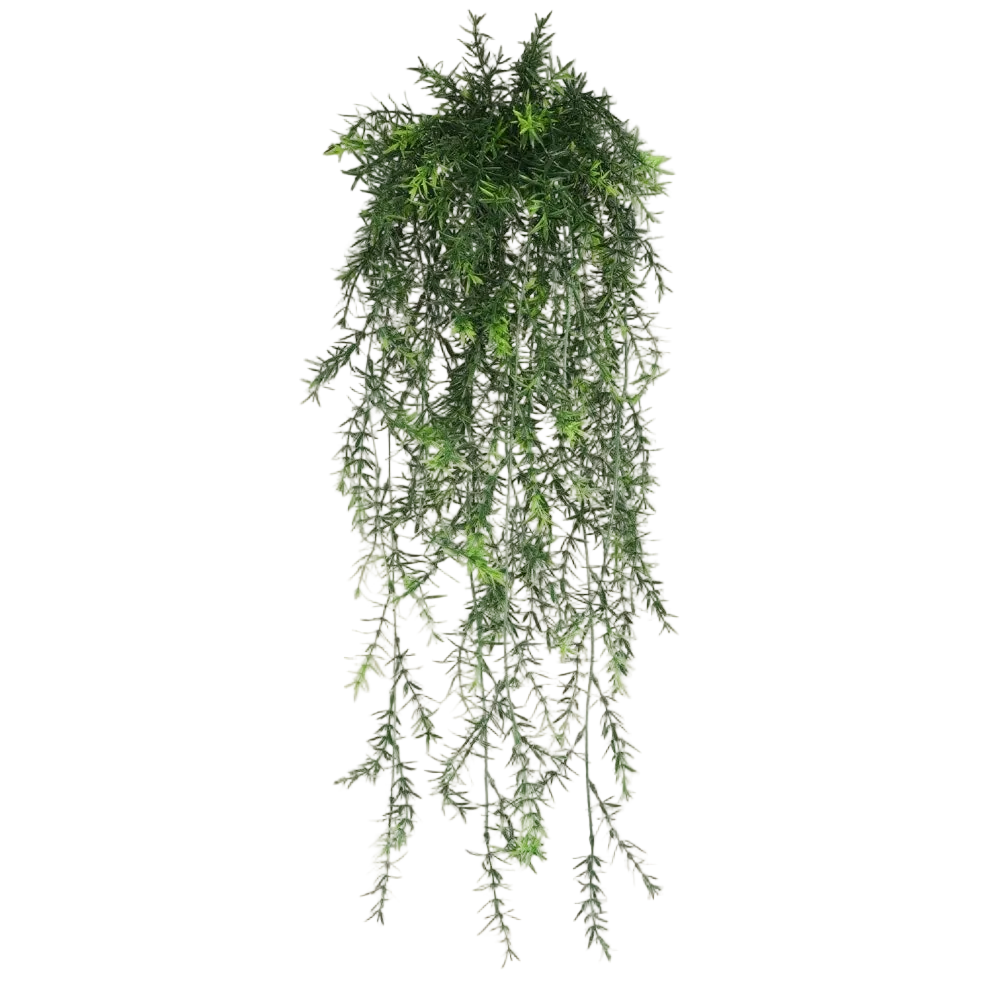 Hanging Vines