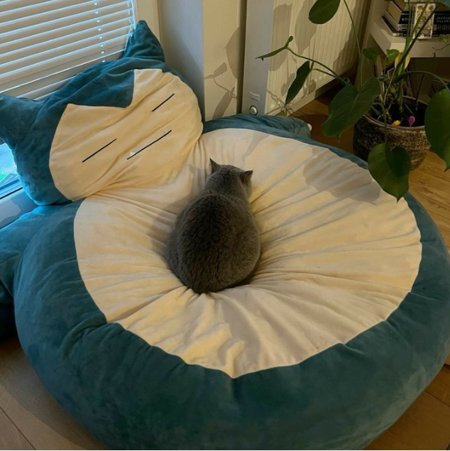 Snorlax Beanbag - Without Filling